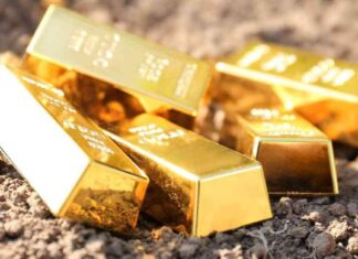 Tokenized Gold: The Latest Addition to the Digital Gold Market news-18102024-093946
