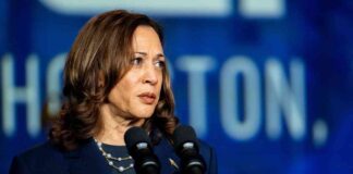 Crypto ETFs Unlikely to Expand Beyond Bitcoin and Ether Under Kamala Harris news-21102024-215247