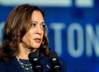 Crypto ETFs Unlikely to Expand Beyond Bitcoin and Ether Under Kamala Harris news-21102024-215247