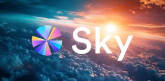 Reverting to MakerDAO: Sky’s Decision After Community Pushback news-22102024-160535