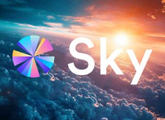 Reverting to MakerDAO: Sky’s Decision After Community Pushback news-22102024-160535