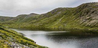 Earn Bitcoin Interest on Cash Deposits with River Financial Exchange news-22102024-220848