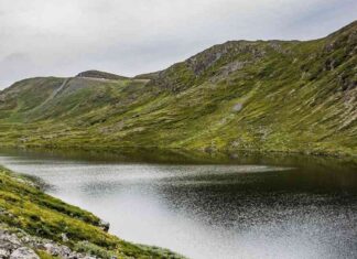 Earn Bitcoin Interest on Cash Deposits with River Financial Exchange news-22102024-220848