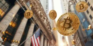 Institutional Investors Increase Holdings in US-Traded Spot Bitcoin ETFs news-23102024-040743