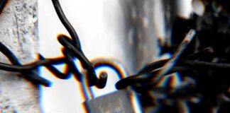 ANZ Launching Chainlink Private Transactions for RWA Enhancement news-23102024-101946