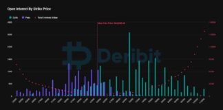 October Options Expiry Could Impact Bitcoin’s Short-Term Volatility news-23102024-102016