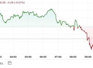 BTC Price Impact: First Mover Americas Sees Market Dip news-23102024-162141