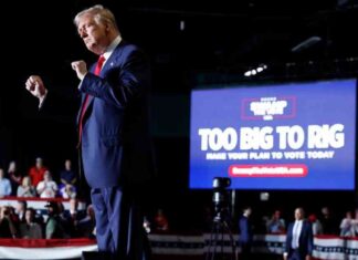 Trump Polymarket Odds Dip as No. 2 Bull Bets on Harris news-24102024-042629