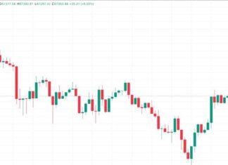 Bitcoin Price Surges Past $67K, Dollar Index Falters: Beige Book Backs Fed Rate Cuts news-24102024-102749