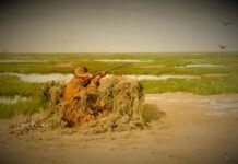 Satflow Bitcoin Startup Takes on ‘Mempool Sniping’ with New Token-Trading Platform news-24102024-102820