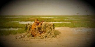 Satflow Bitcoin Startup Takes on ‘Mempool Sniping’ with New Token-Trading Platform news-24102024-102820