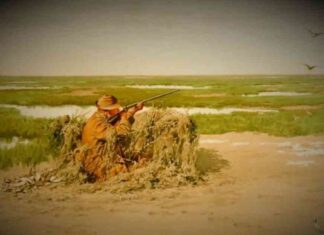 Satflow Bitcoin Startup Takes on ‘Mempool Sniping’ with New Token-Trading Platform news-24102024-102820