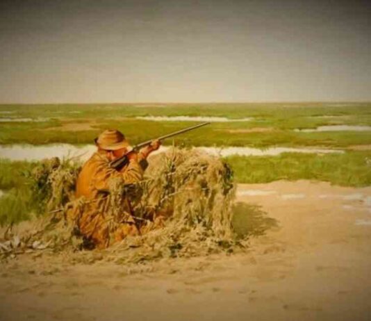 Satflow Bitcoin Startup Takes on ‘Mempool Sniping’ with New Token-Trading Platform news-24102024-102820