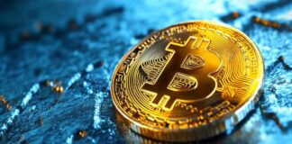 Bitcoin’s Future: CryptoQuant CEO Foresees Global Acceptance Within 10 Years news-24102024-162927