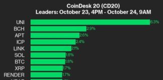 UNI Outperforms in CoinDesk 20: Gains 6.3% as Index Climbs news-24102024-163028