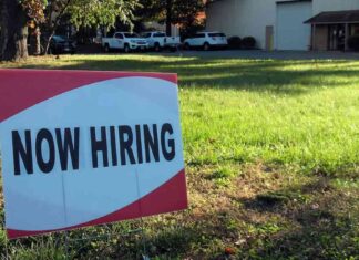 Portofino Technologies Faces Staff Exodus Amid FCA Regulation news-26102024-044339