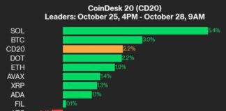 SOL Leads CoinDesk 20 Index with 5.4% Gain: Performance Update news-28102024-170253