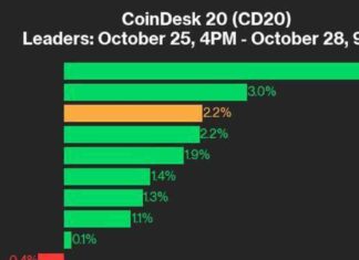 SOL Leads CoinDesk 20 Index with 5.4% Gain: Performance Update news-28102024-170253