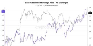 Bitcoin Price Surge Driven by Rising Leverage Trading news-28102024-230413