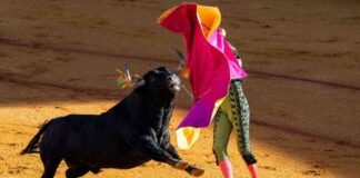 Institutional Investors Prepare for Bitcoin Volatility During U.S. Election news-31102024-071705