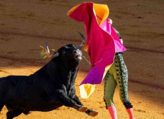 Institutional Investors Prepare for Bitcoin Volatility During U.S. Election news-31102024-071705