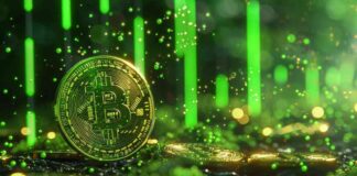 Bitcoin and Ethereum Dominate 97% of Trades on Crypto.com news-31102024-131710