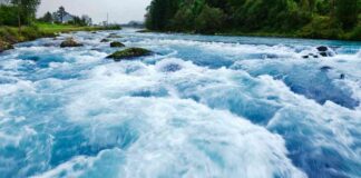 Bitcoin ETFs See Massive Inflows, BTC Prices Pause news-31102024-131900