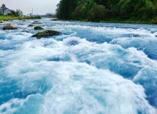 Bitcoin ETFs See Massive Inflows, BTC Prices Pause news-31102024-131900