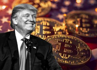 Trump Reaffirms Support for Bitcoin on Satoshi’s Whitepaper Anniversary news-31102024-234955