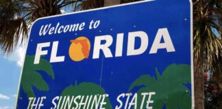 Florida CFO Jimmy Patronis Predicts Growth of State’s $800M Crypto Portfolio Under Trump Presidency news-01112024-115800