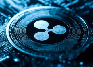 21Shares Files S-1 Application for XRP ETF – All You Need to Know news-02112024-060056