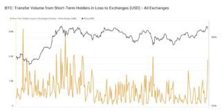 Bitcoin Price Plunge Triggers Panic Selling Among Short-Term Holders news-02112024-060322