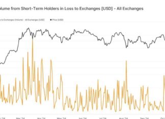 Bitcoin Price Plunge Triggers Panic Selling Among Short-Term Holders news-02112024-060322