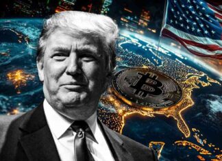 Presidential Candidates Urged to Commit to Buying 20% of Bitcoin Supply news-03112024-074937