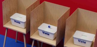 Bitcoin Price Prediction: $6K-$8K Volatility Amid U.S. Election: Expert news-04112024-165050