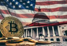 Whale Loses $4M on Polymarket in Trump Election Bet news-05112024-045413