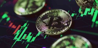 Crypto Investors Await US Election Outcome for Volatility Clarity news-05112024-045510