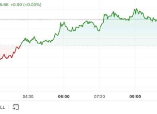 Crypto Market in Americas Stable as U.S. Election Unfolds – First Mover Analysis news-05112024-165940