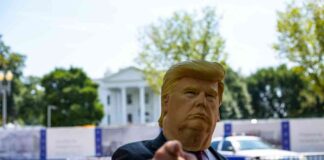 Capitalizing on U.S. Election Frenzy: Memecoin Creators Launch Thousands of New Tokens news-06112024-050423