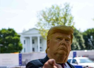 Capitalizing on U.S. Election Frenzy: Memecoin Creators Launch Thousands of New Tokens news-06112024-050423