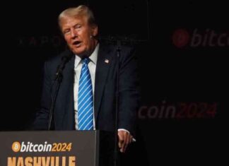 Bitcoin Surges 10% Against Mexican Peso Amid ‘Trump Trade’ Boost; Gold Stable news-06112024-110615