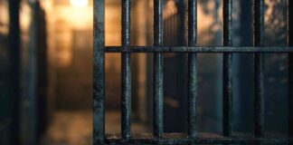 Former FTX CTO Appeals for Non-Custodial Sentence in Bankman-Fried Case news-07112024-152625