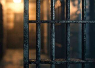 Former FTX CTO Appeals for Non-Custodial Sentence in Bankman-Fried Case news-07112024-152625