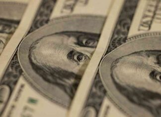 Bitcoin ETFs Gain $1.3B Inflows Amid Trump Win and Fed Rate Cuts news-08112024-093236