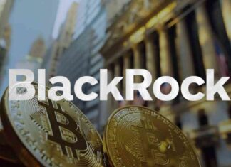 Bitcoin ETFs See Record $1.1 Billion Inflow in Historic BlackRock Boost news-08112024-153358