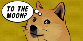 D.O.G.E Memecoin Surges 100% with Elon Musk’s Trump Connection news-08112024-153430