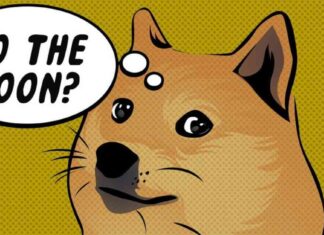 D.O.G.E Memecoin Surges 100% with Elon Musk’s Trump Connection news-08112024-153430