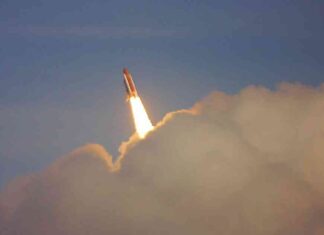 Bitcoin Price Surge: Cardano Up 16%, Bitcoin to Hit $100K Post Fed Rate Cut news-08112024-153501