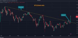 Bitcoin Price Surges 12% as Gold Declines – Market Shift Detected news-09112024-094113