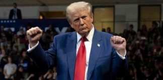 Mastering the Trump Trade: Success Story of a Crypto Hedge Fund news-09112024-154323